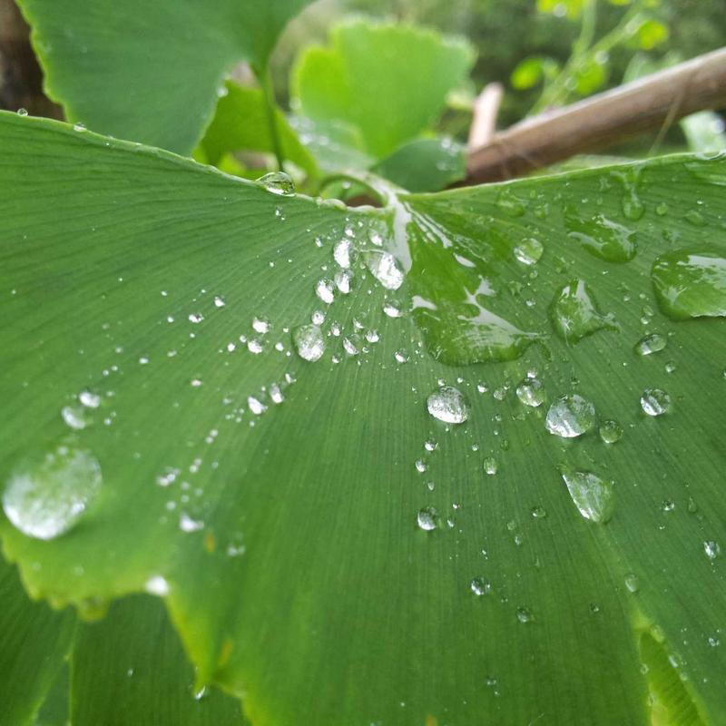 TapWise smart valve installation